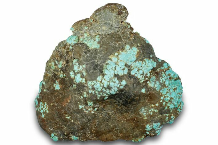 Tumbled Turquoise Specimen - Number Mine, Carlin, NV #260508